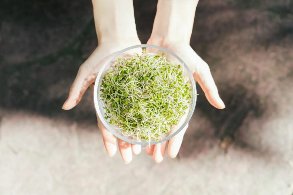 培仁媽媽料理講座